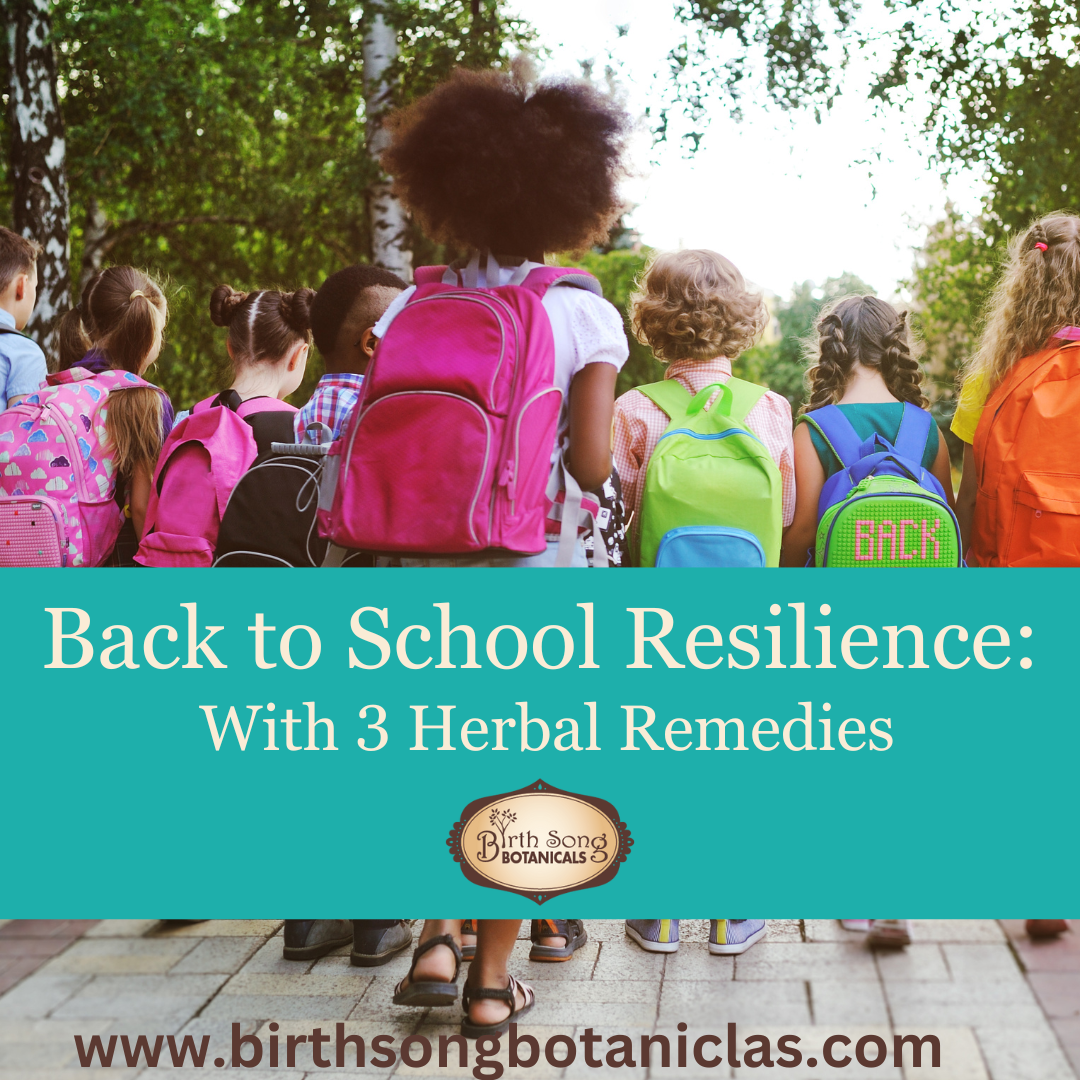 Back to School Resilience: Three Herbal Remedies for Kids Immune Systems