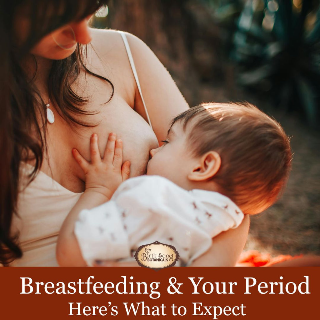 Breastfeeding and Your Period: What New Moms Need to Know