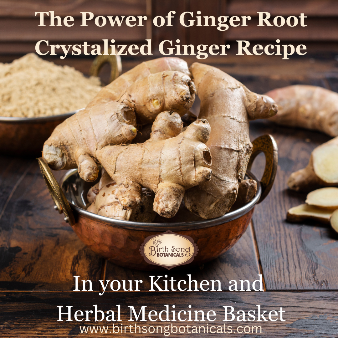 The Power of Ginger Root- Crystalized Ginger Recipe