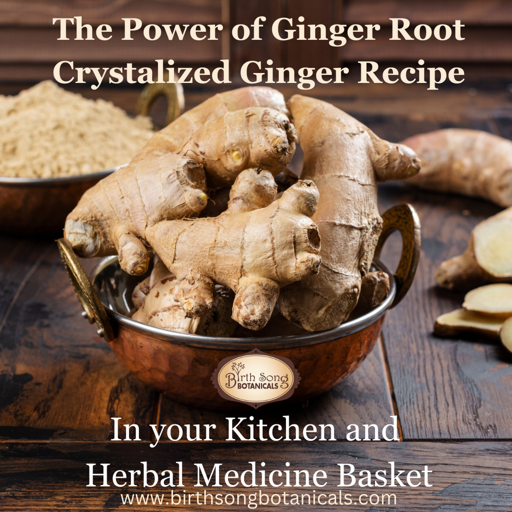 The Power of Ginger Root- Crystalized Ginger Recipe