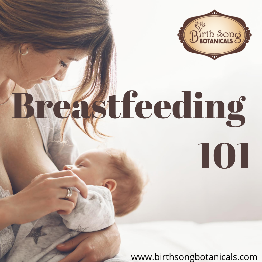 How to Breastfeed- Breastfeeding 101