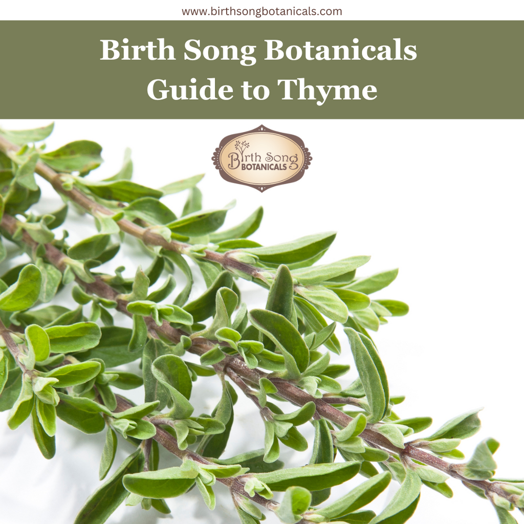 The Birth Song Botanicals Guide to Thyme