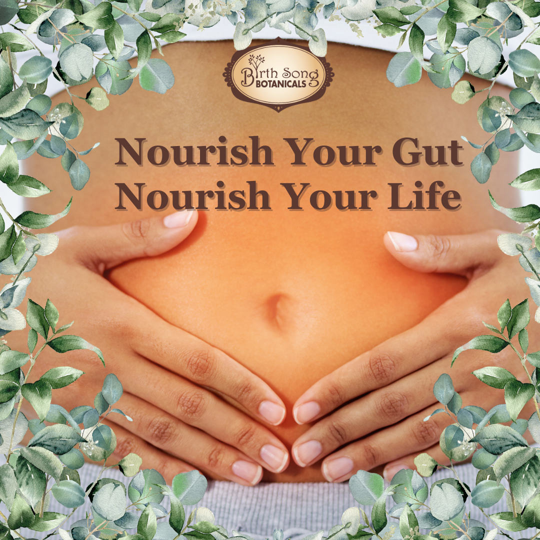 Nourish Your Gut Health with Prebiotics and Chlorophyll