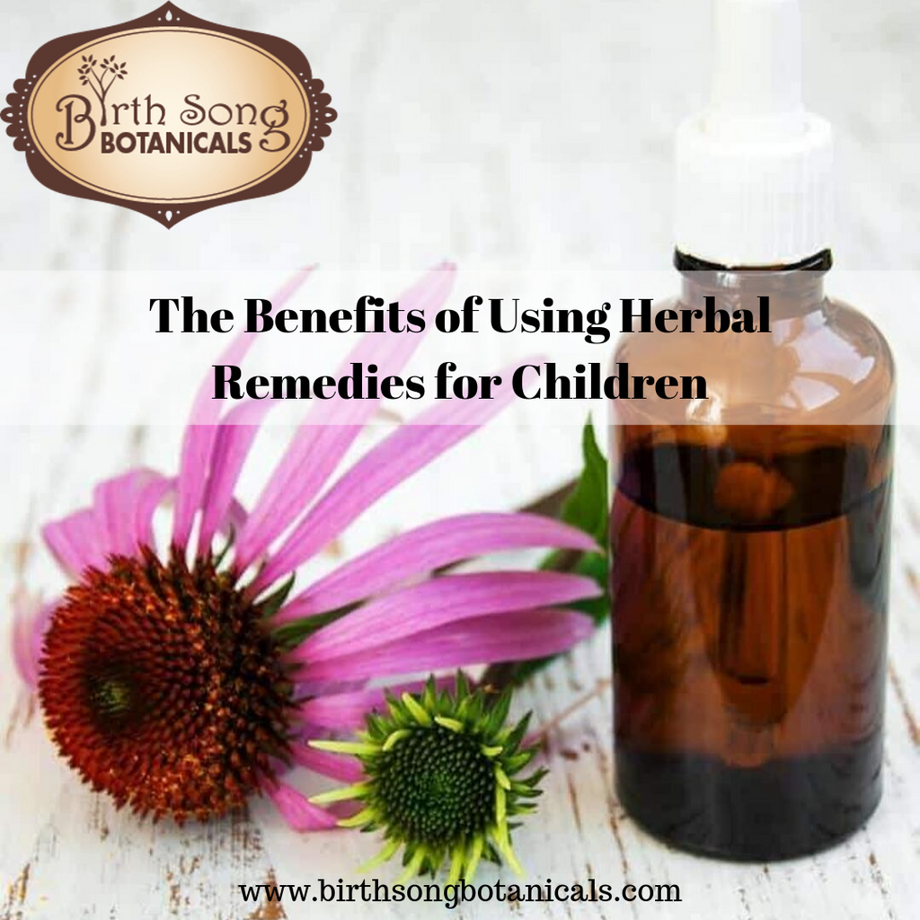 The Benefits of Using Herbs for Kids