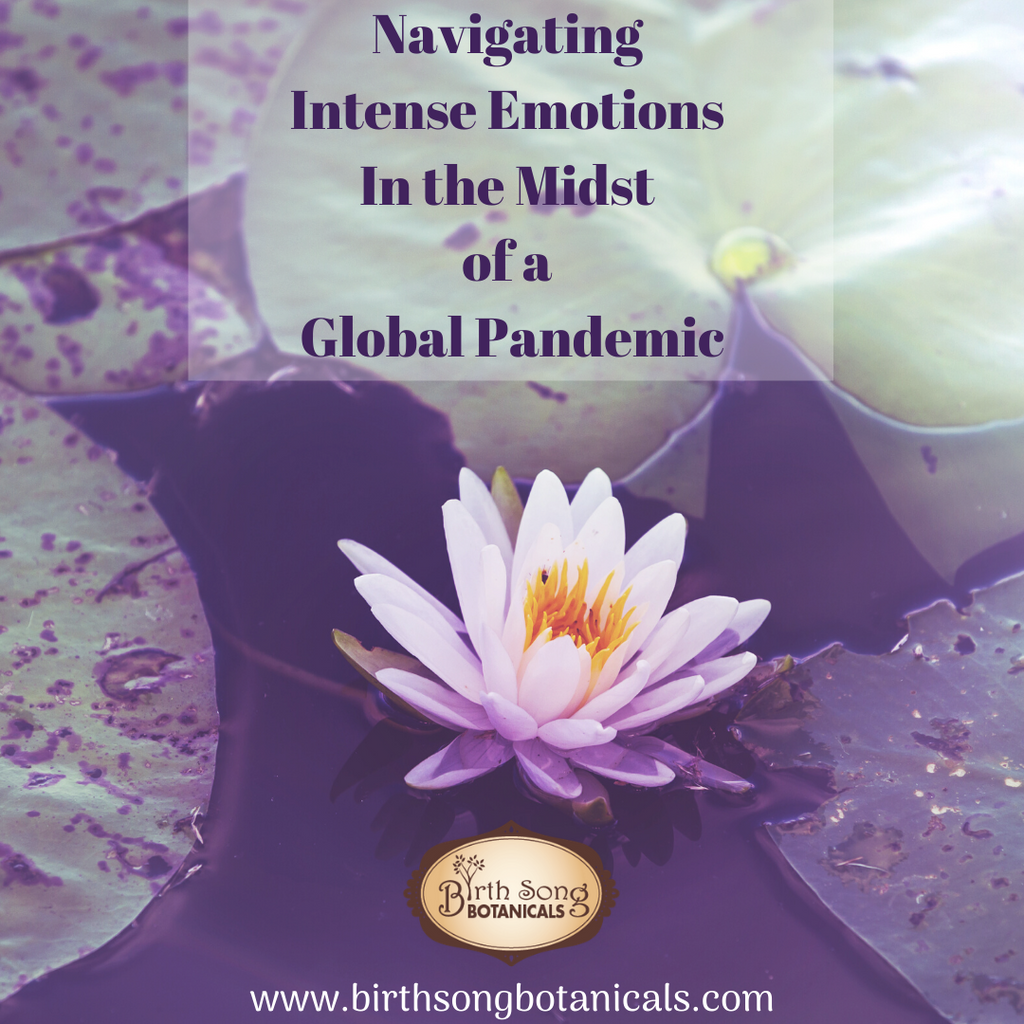 Self Mastery How to Navigate Intense Emotions. No Mud. No Lotus.