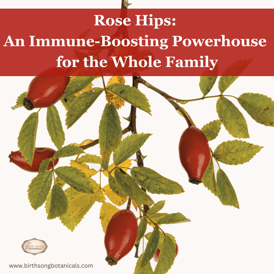 Rose Hips: An Immune-Boosting Powerhouse for the Whole Family