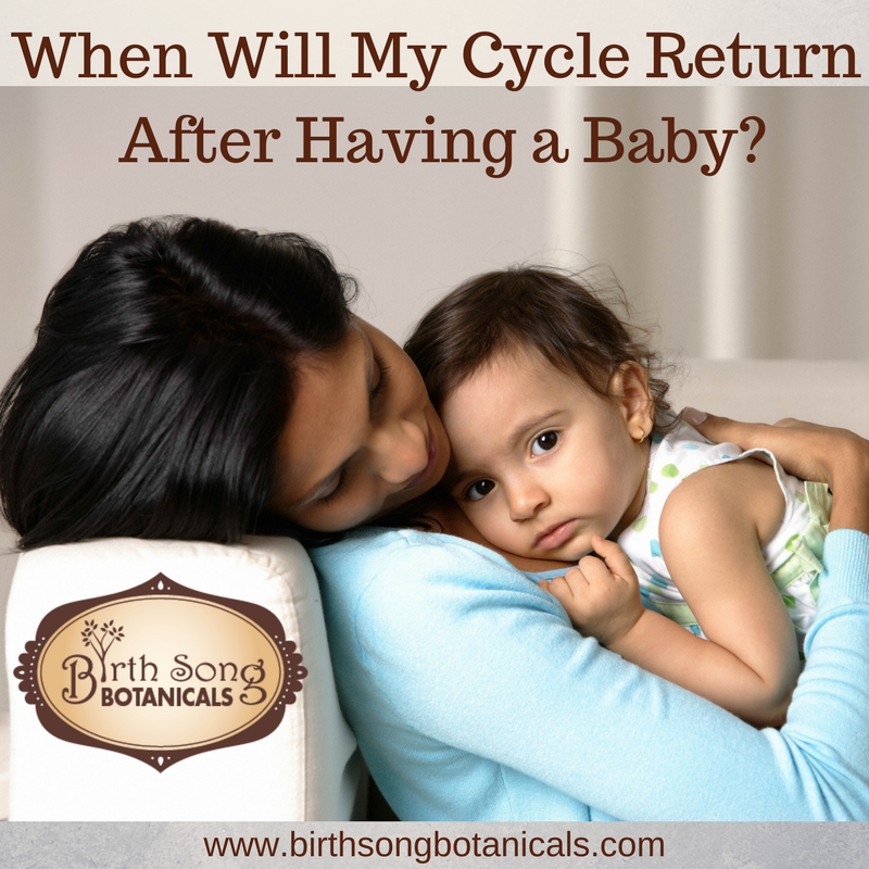 Your Menstrual Cycle While Breastfeeding