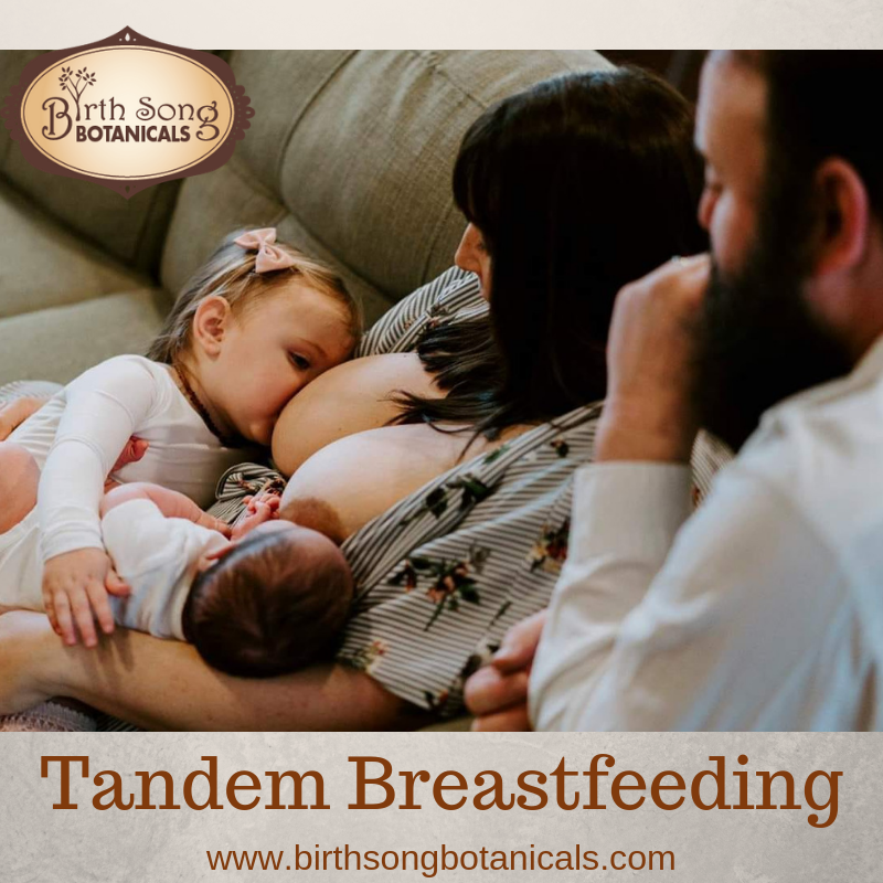 Tandem Breastfeeding Birth Song Botanicals Co