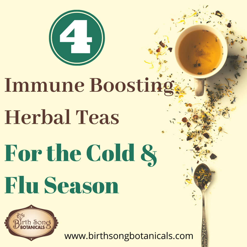 4 of the Best Immune Boosting Herbal Teas for the Cold and Flu Season