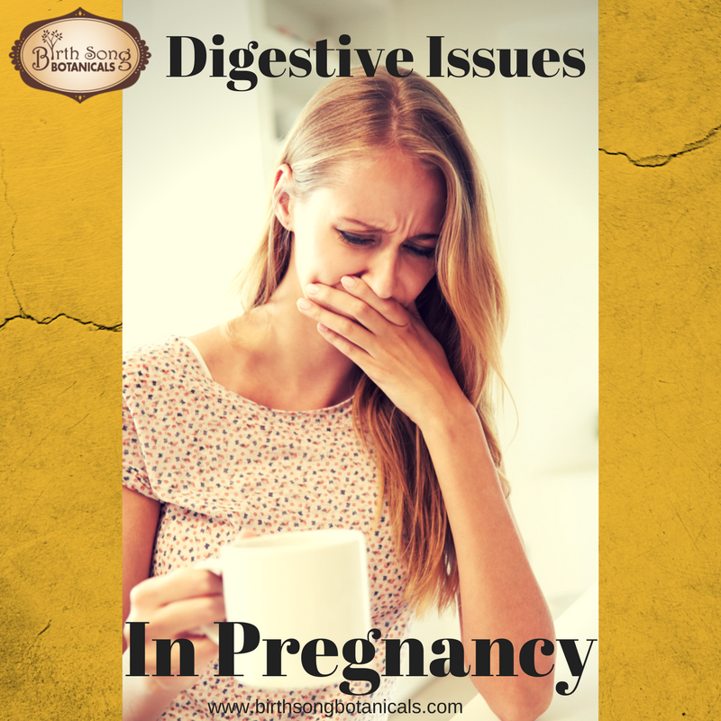 Digestive Issues in Pregnancy Birth Song Botanicals Co.