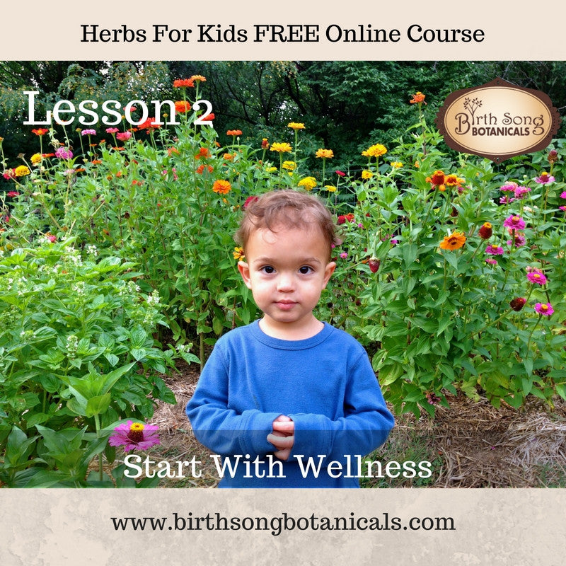 LESSON 2- Start With Wellness -Cooking with Medicinal Herbs