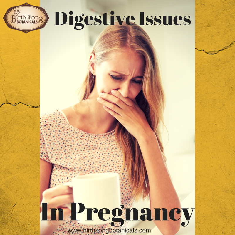 Digestive Issues in Pregnancy
