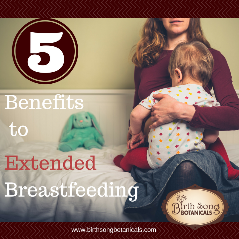 Five Benefits to Extended Breastfeeding