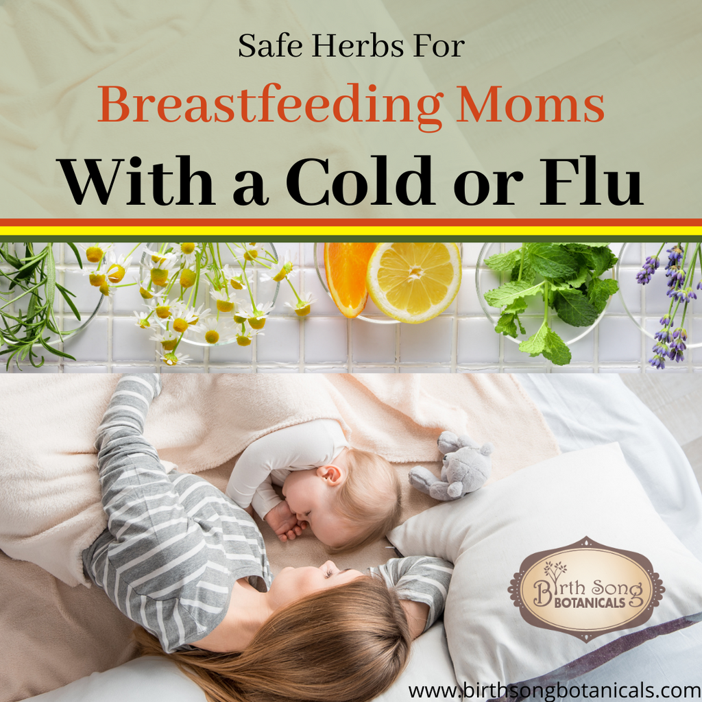 Safe Herbs for Breastfeeding With A Cold