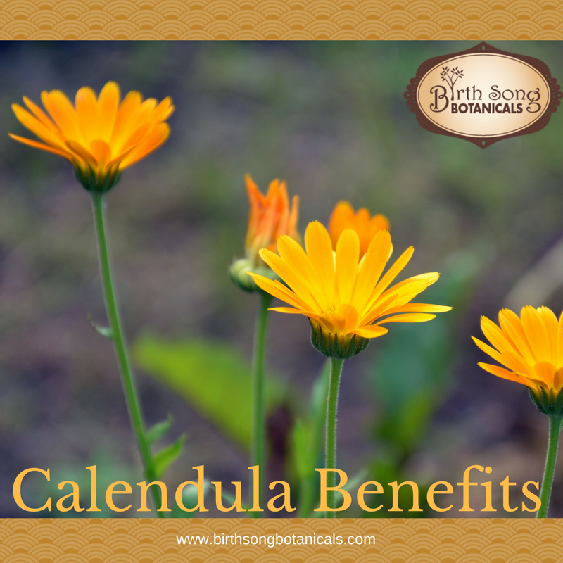 How To Use Calendula Plants - Learn About Calendula Benefits And