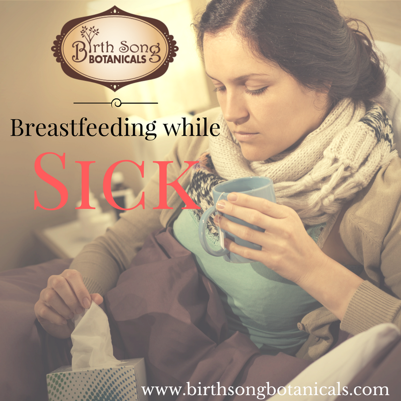 Support for Breastfeeding While Sick Birth Song Botanicals Co