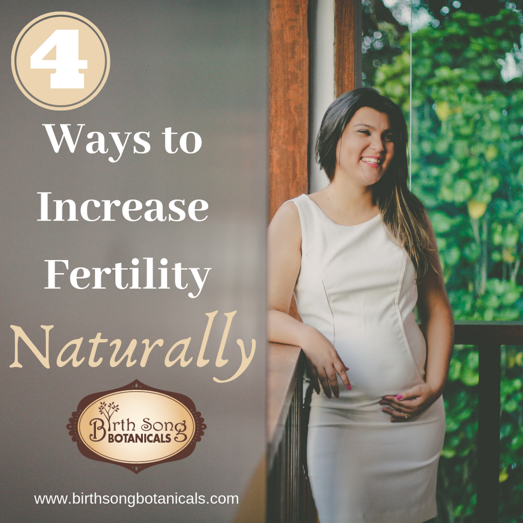 Four Ways to Increase Fertility Naturally
