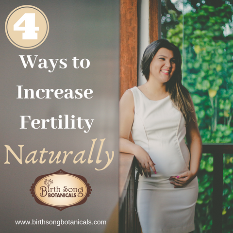 ways to naturally increase fertility 