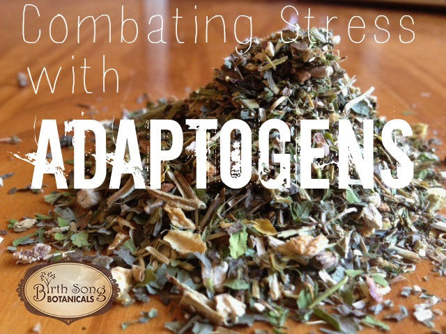 Combating Stress with Adaptogens