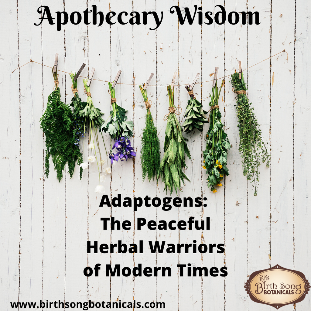 Adaptogens: The Peaceful Herbal Warriors of Modern Times