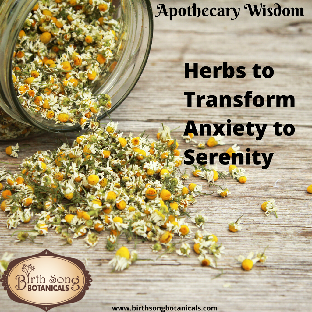 Herbs to Transform Anxiety to Serenity