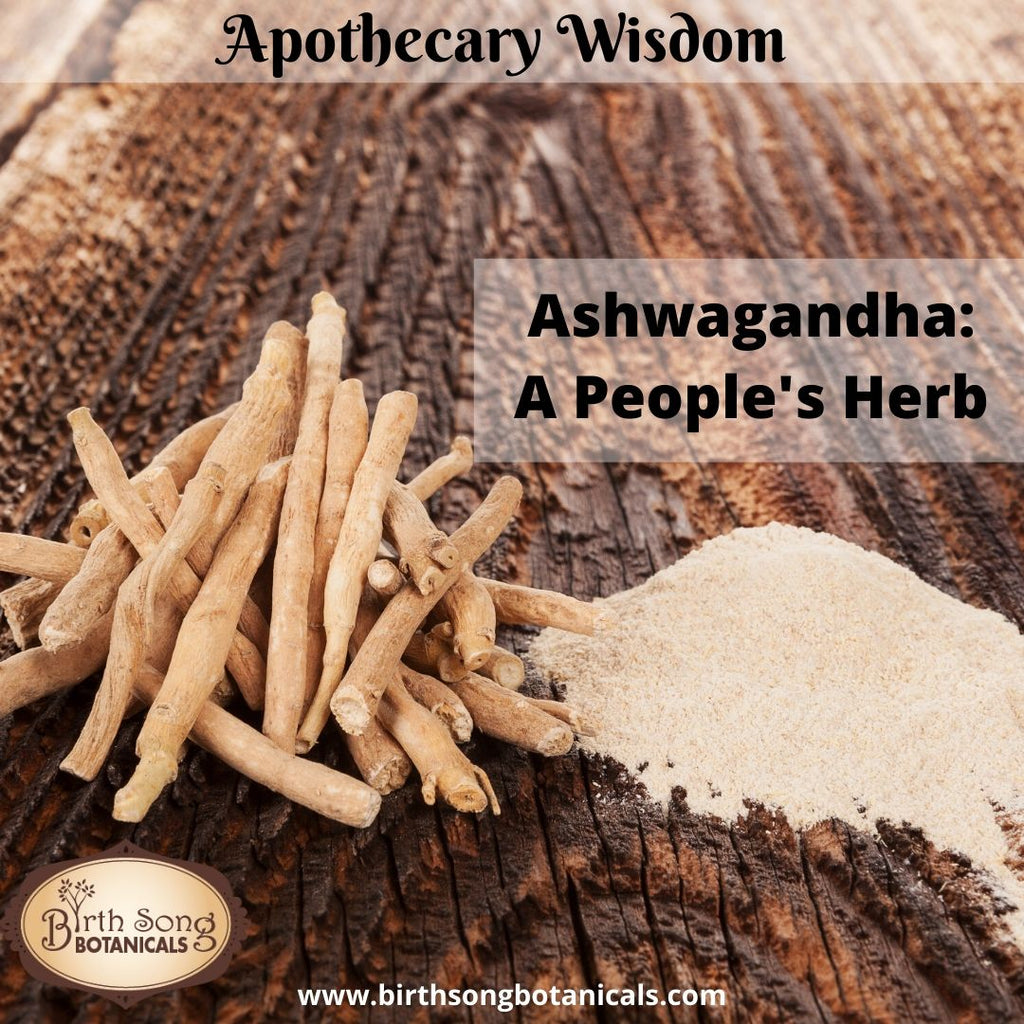 Ashwagandha: A People's Herb