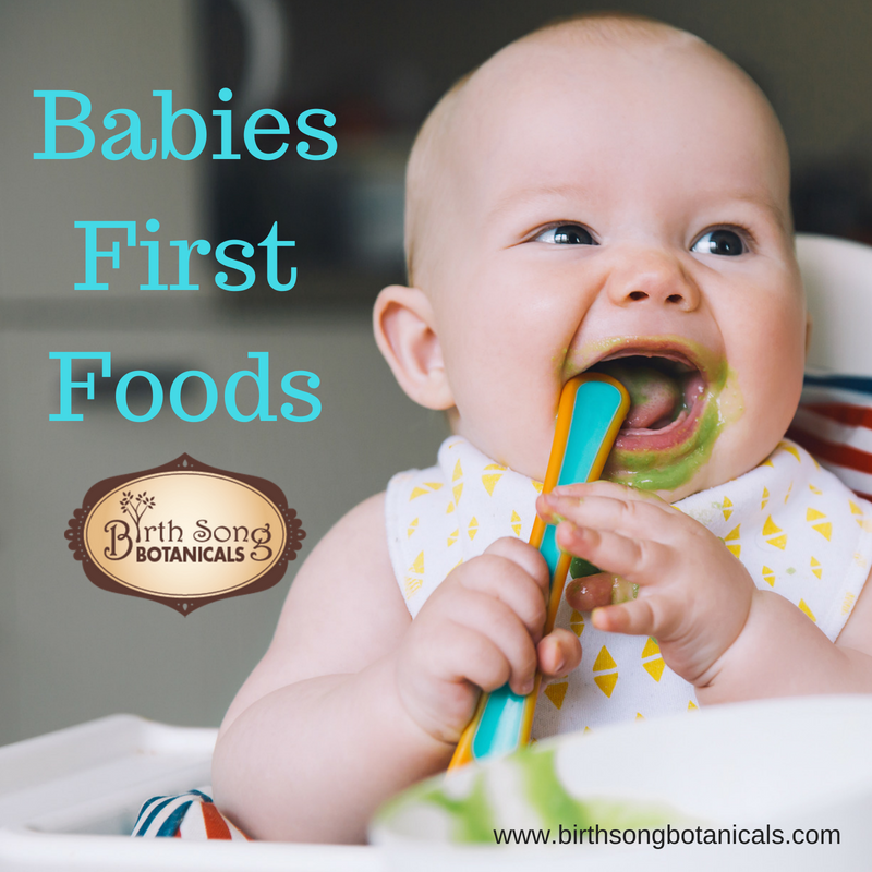 Baby's First Foods