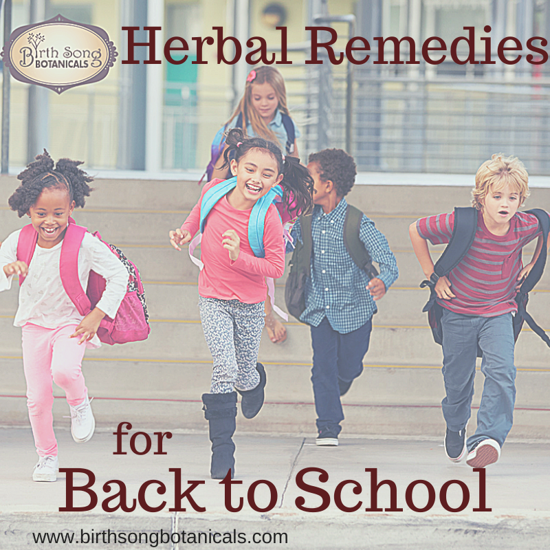 Herbal Remedies for Back to School