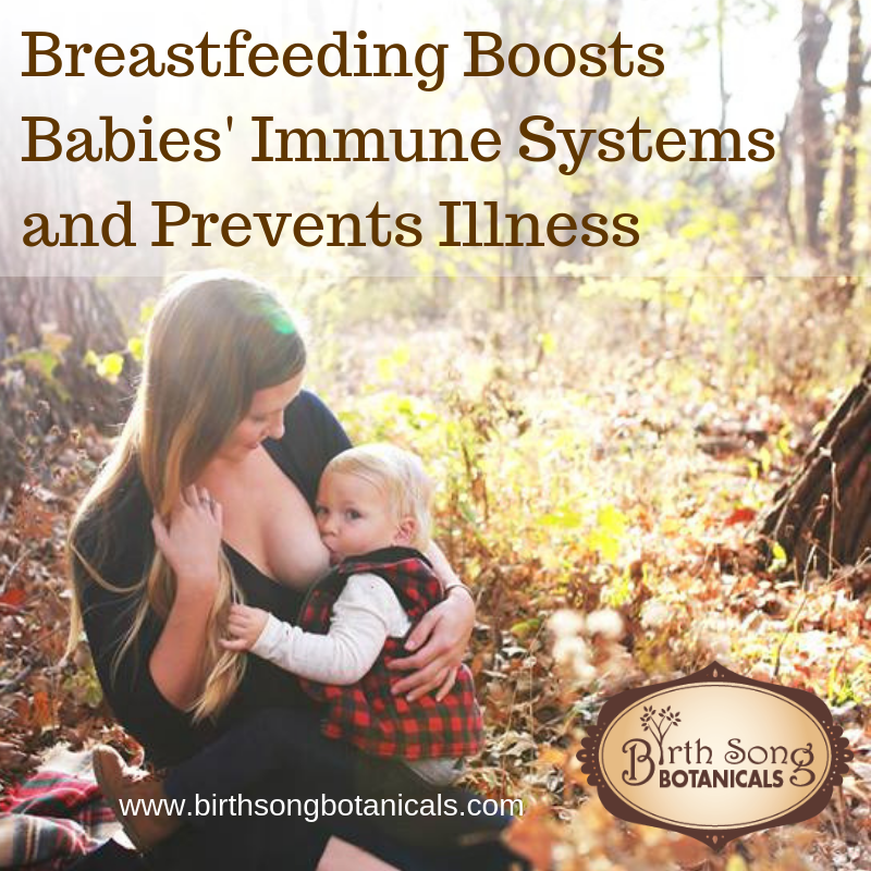 Breastfeeding Boosts Babies' Immune Systems and Prevents Illness