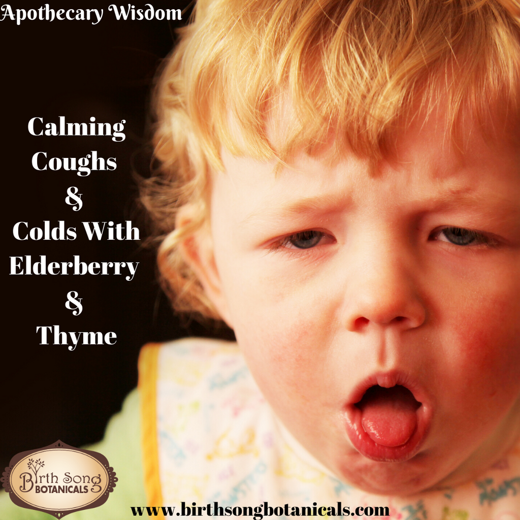 Calming Coughs & Colds With Elderberry & Thyme