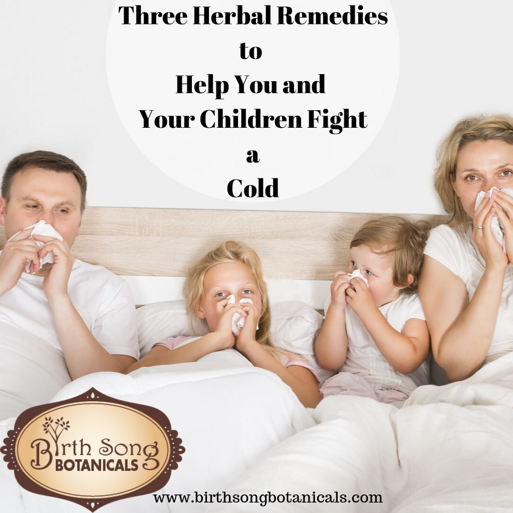 Three Herbal Remedies to Help You and Your Children Fight a Cold