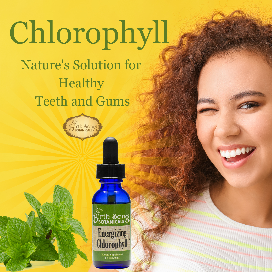 Chlorophyll: Nature's Oral Health Solution– Birth Song Botanicals Co.