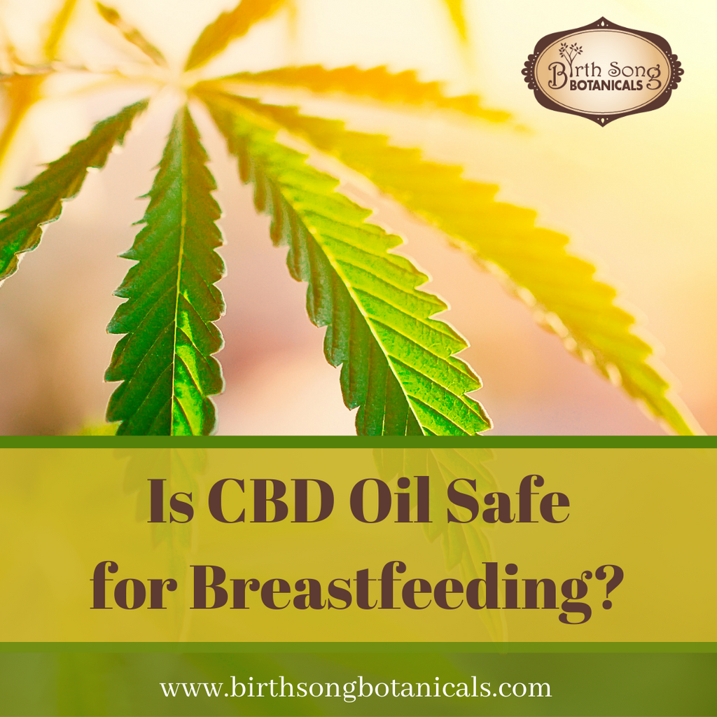 Is CBD Oil Safe for Breastfeeding and Lactation?