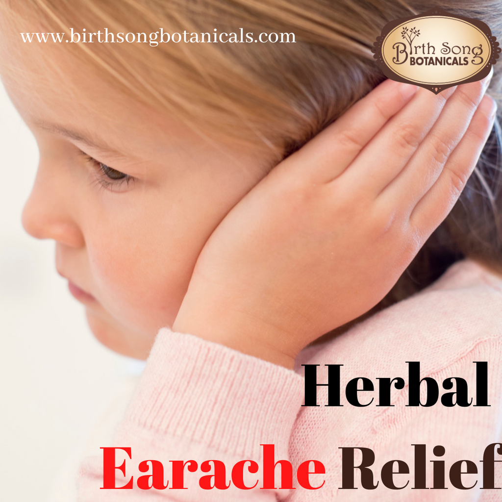 Herbal Earache Remedies- Video Series