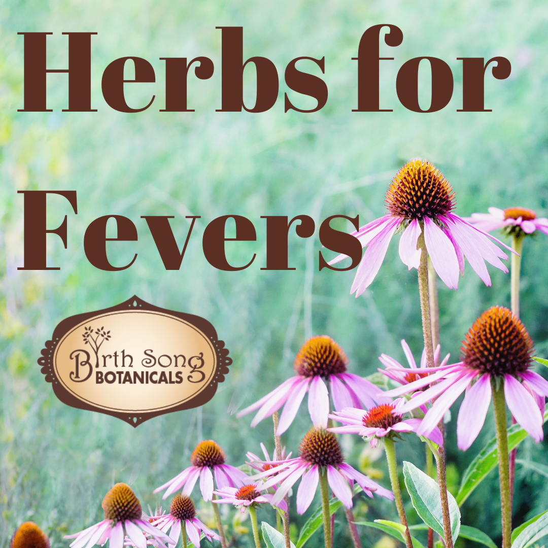 How To Treat A Fever With Herbs and Hydrotherapy