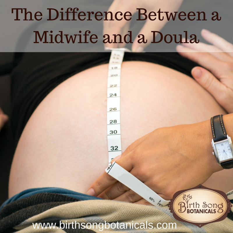 The Difference Between a Doula and a Midwife
