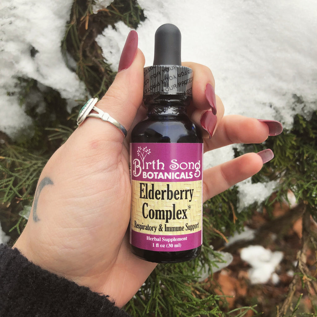 Benefits of Elderberry Complex During The Cold and Flu Season