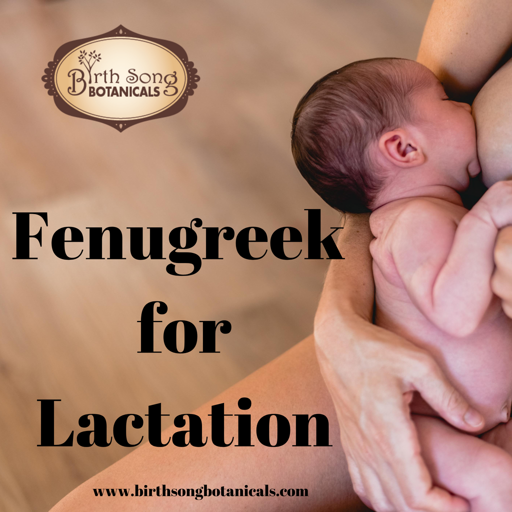 Benefits of Fenugreek for Breastfeeding