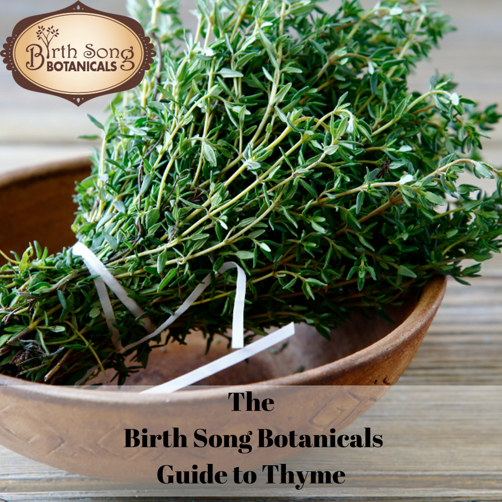 The Birth Song Botanicals Guide to Thyme