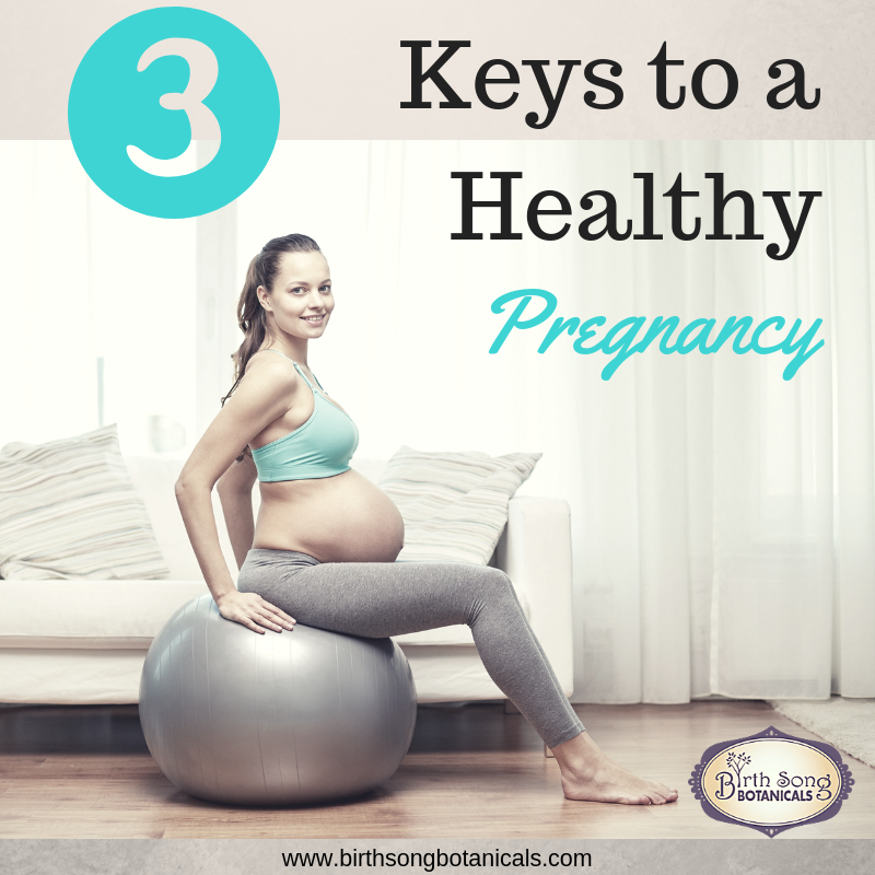 3 Keys to a Healthy Pregnancy