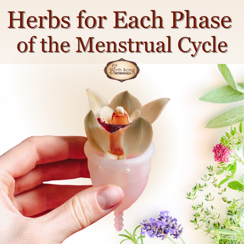 Herbs for each phase of the menstrual cycle