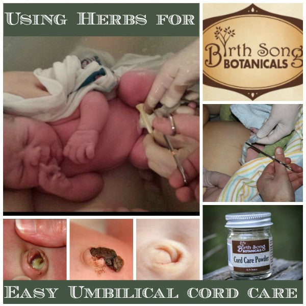 Using Herbs for Easy Umbilical Cord Care