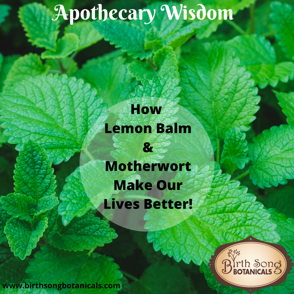 How Lemon Balm & Motherwort Make Our Lives Better!