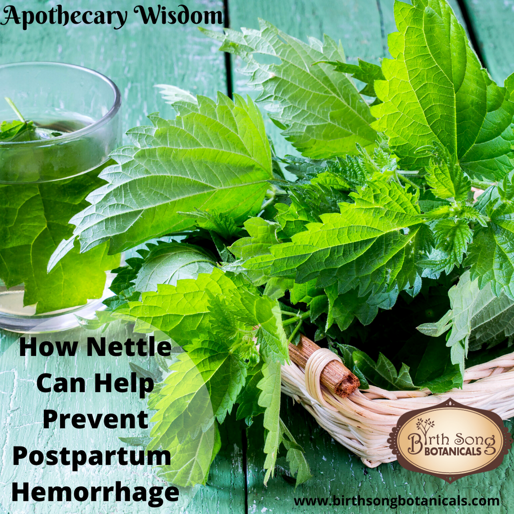 How Nettle Can Prevent Postpartum Hemorrhage