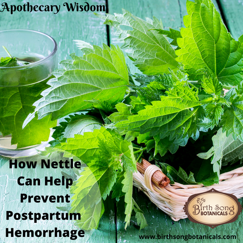 Nettle prevent postpartum hemorrhage
