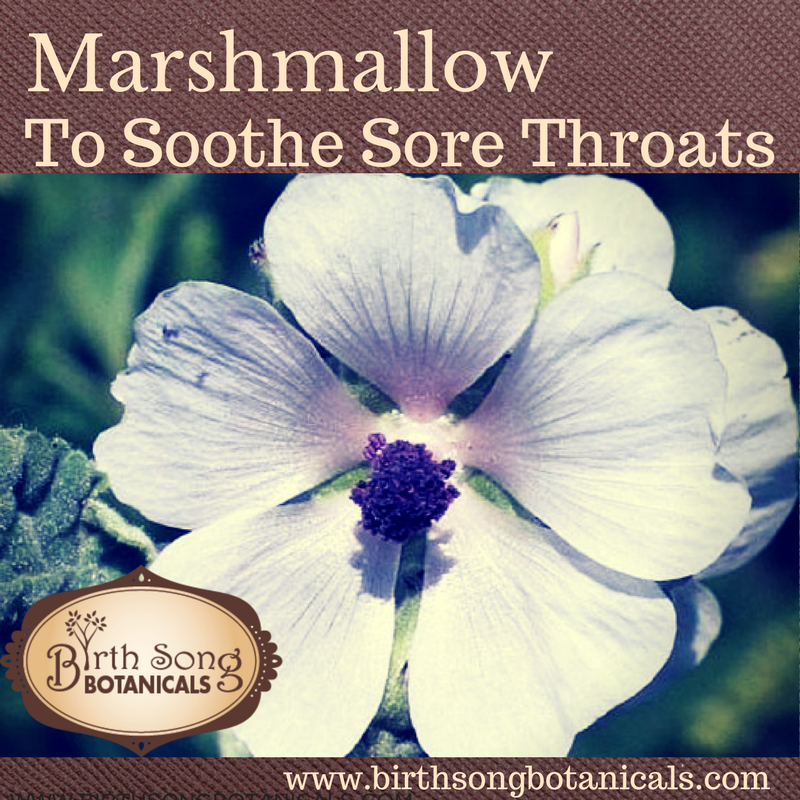Marshmallow to Soothe Sore Throats