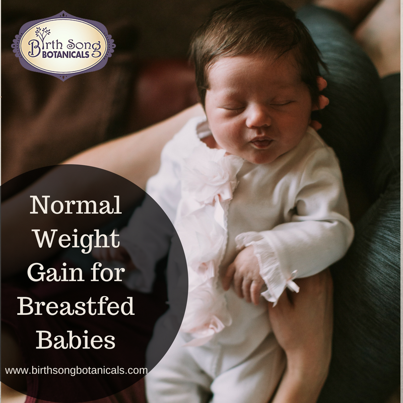 Normal Weight Gain for Breastfed Babies Birth Song Botanicals Co.