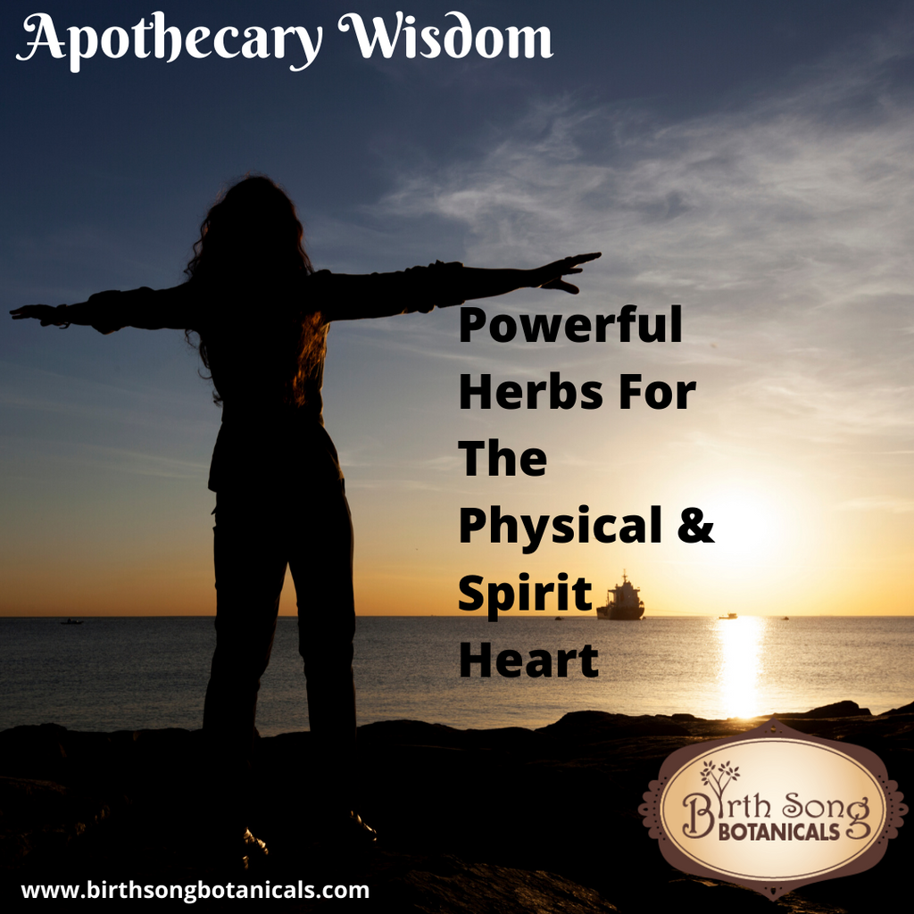 Powerful Herbs For Heart Health -Physical, Emotional and Spiritual