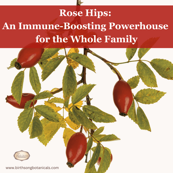 Rose Hips: An Immune-Boosting Powerhouse for the Whole Family