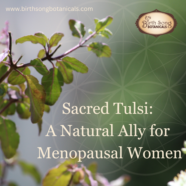 Sacred Tulsi: A Natural Ally for Menopausal Women